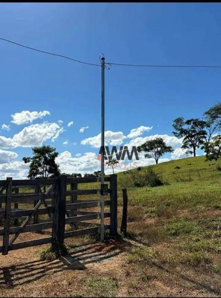 Fazenda, 80 hectares - Foto 9
