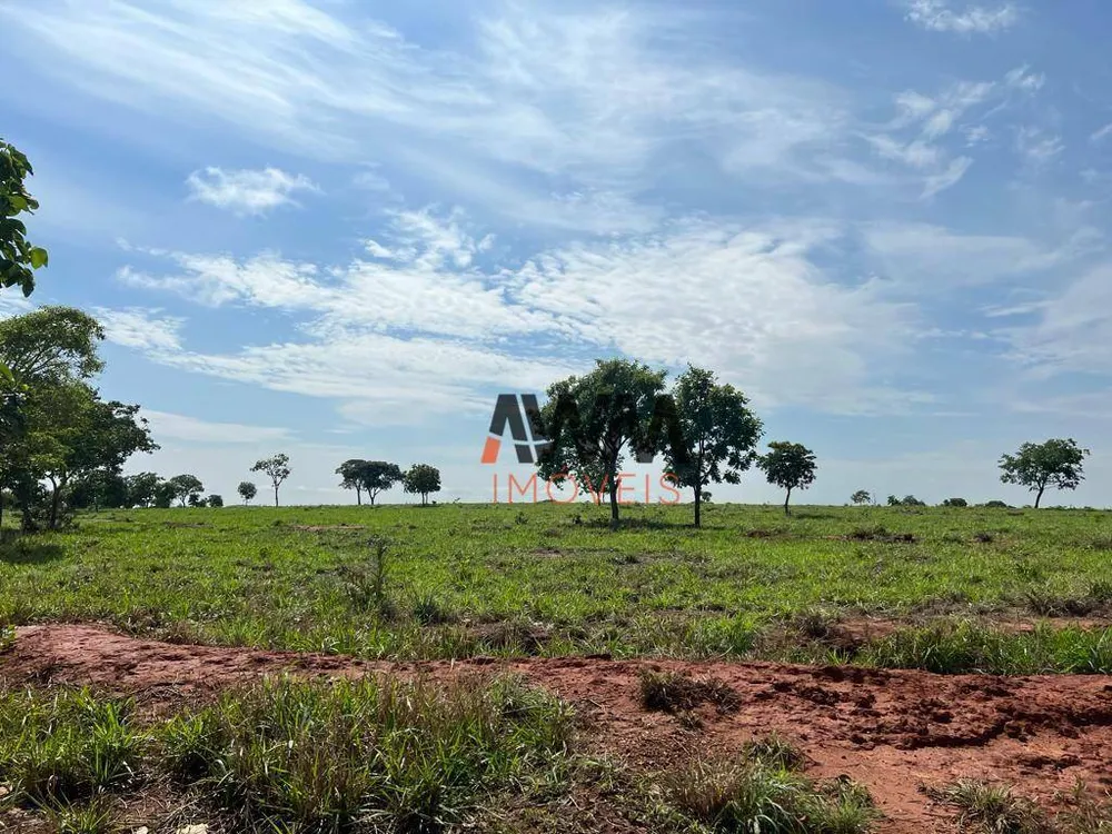 Fazenda, 726 hectares - Foto 1