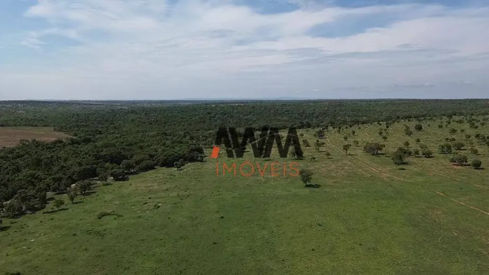 Fazenda, 726 hectares - Foto 11