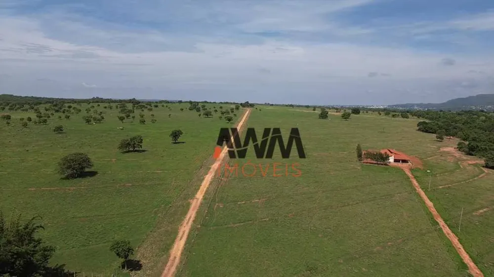 Fazenda, 726 hectares - Foto 6