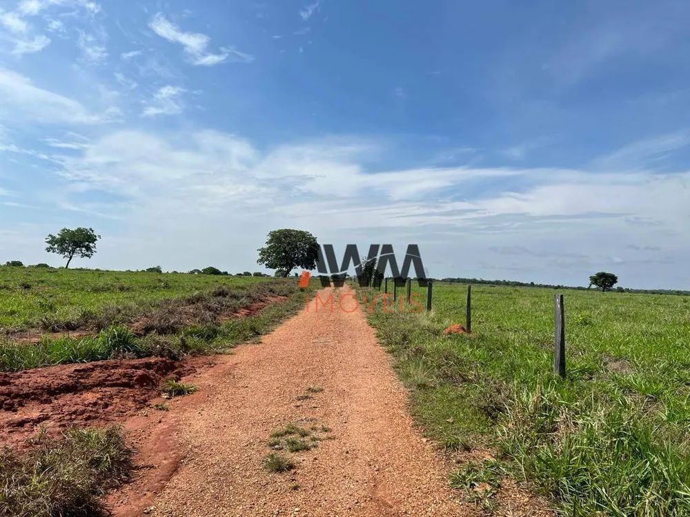 Fazenda, 726 hectares - Foto 3