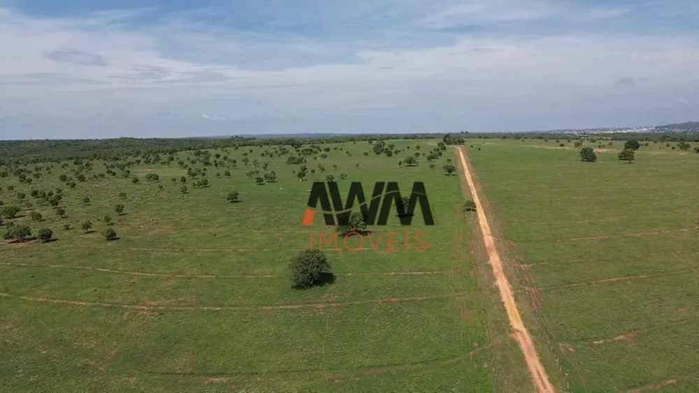 Fazenda, 726 hectares - Foto 7