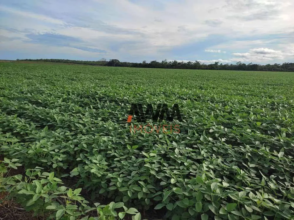 Fazenda, 2483 hectares - Foto 11