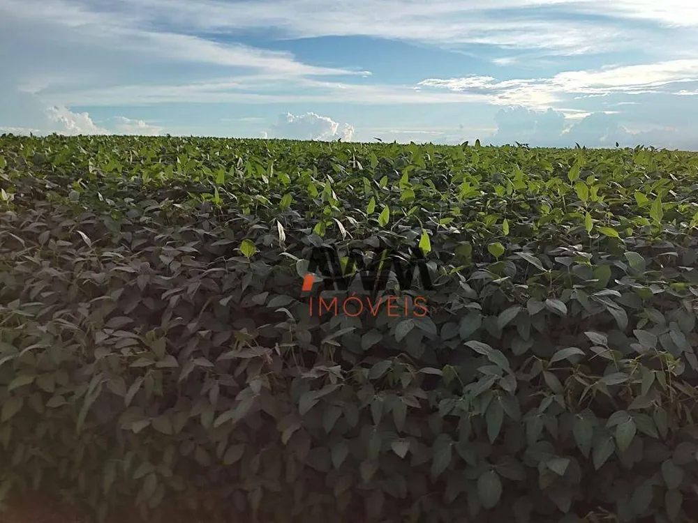 Fazenda, 2483 hectares - Foto 7