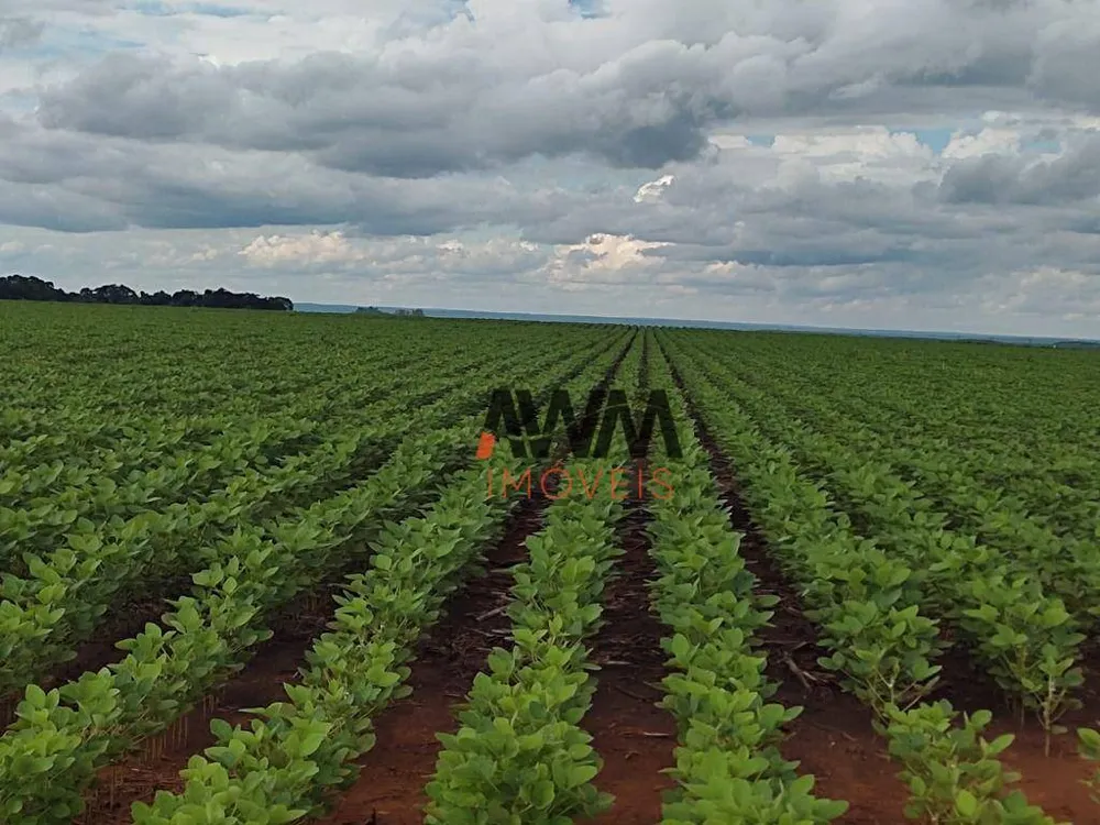 Fazenda, 2483 hectares - Foto 1
