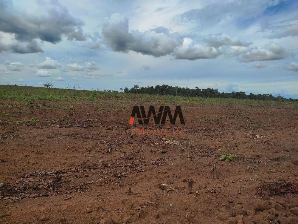 Fazenda, 2483 hectares - Foto 6