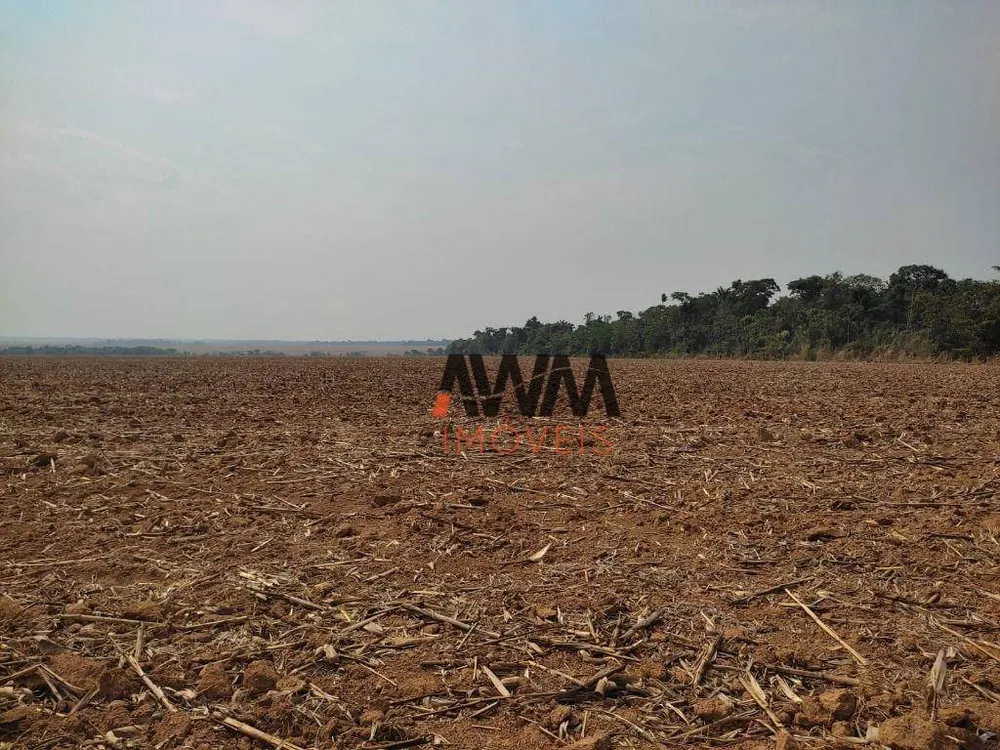 Fazenda, 2483 hectares - Foto 9