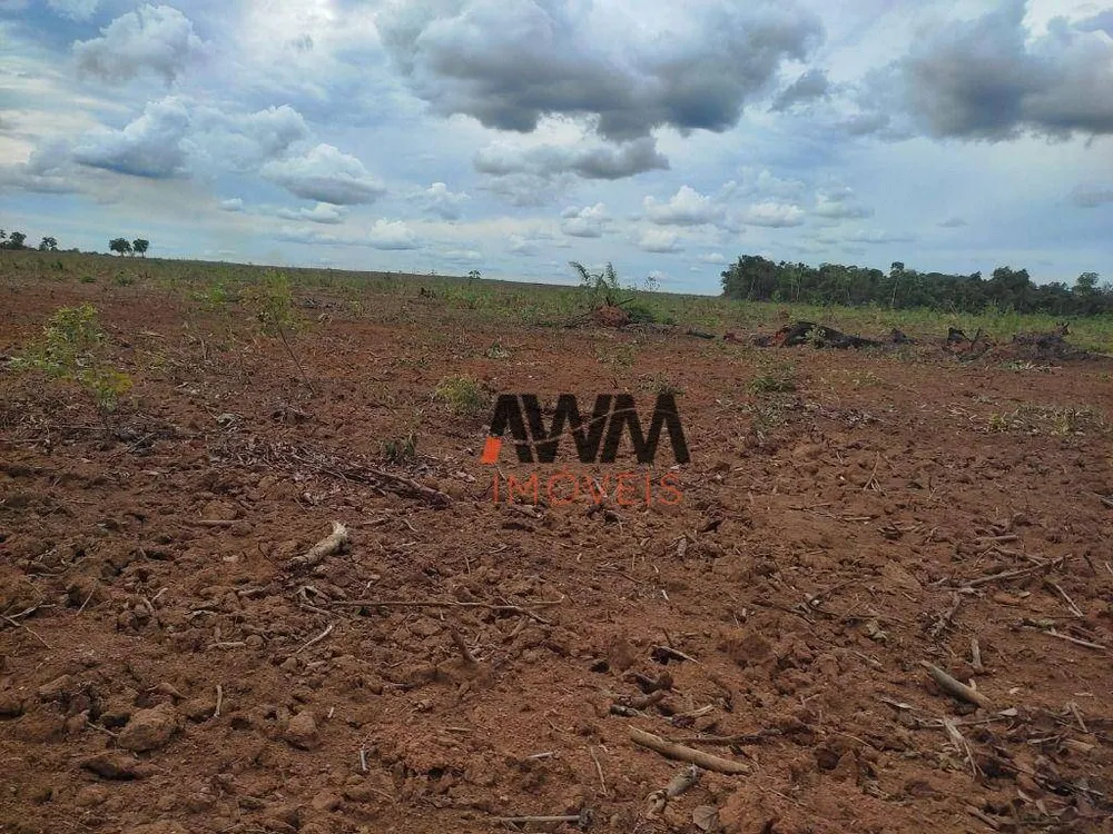Fazenda, 2483 hectares - Foto 2