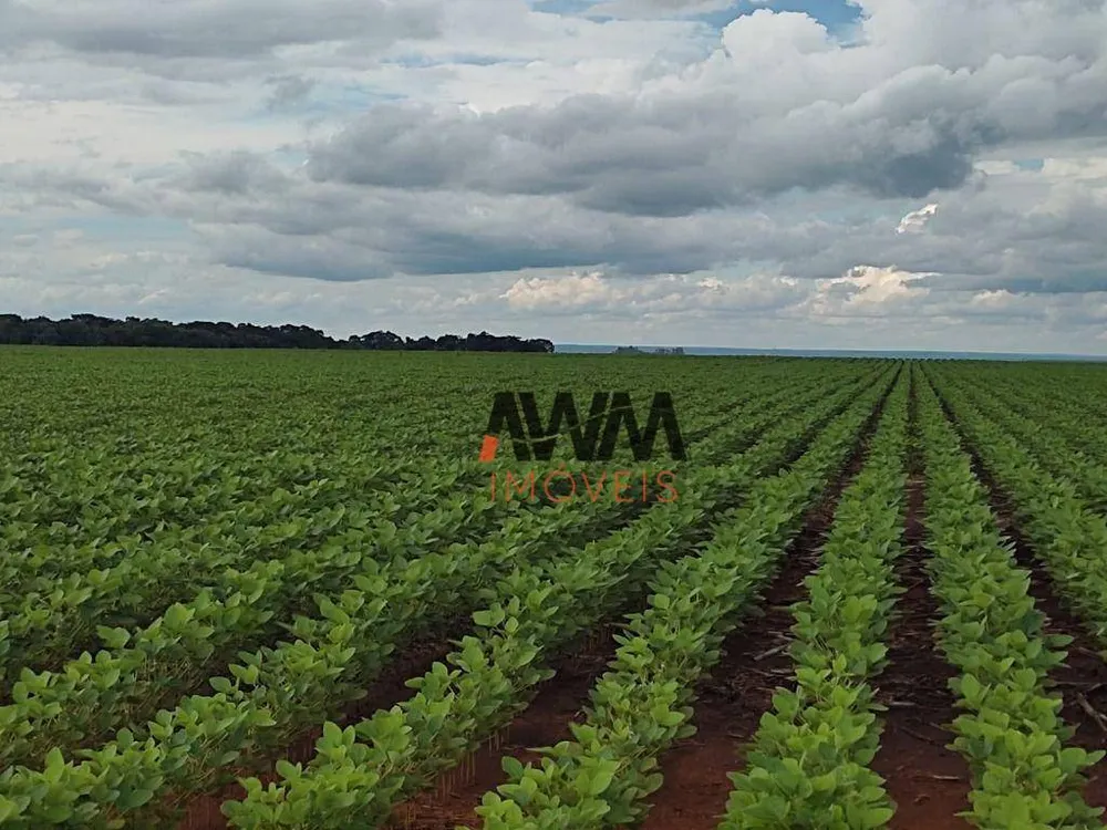 Fazenda, 2483 hectares - Foto 12