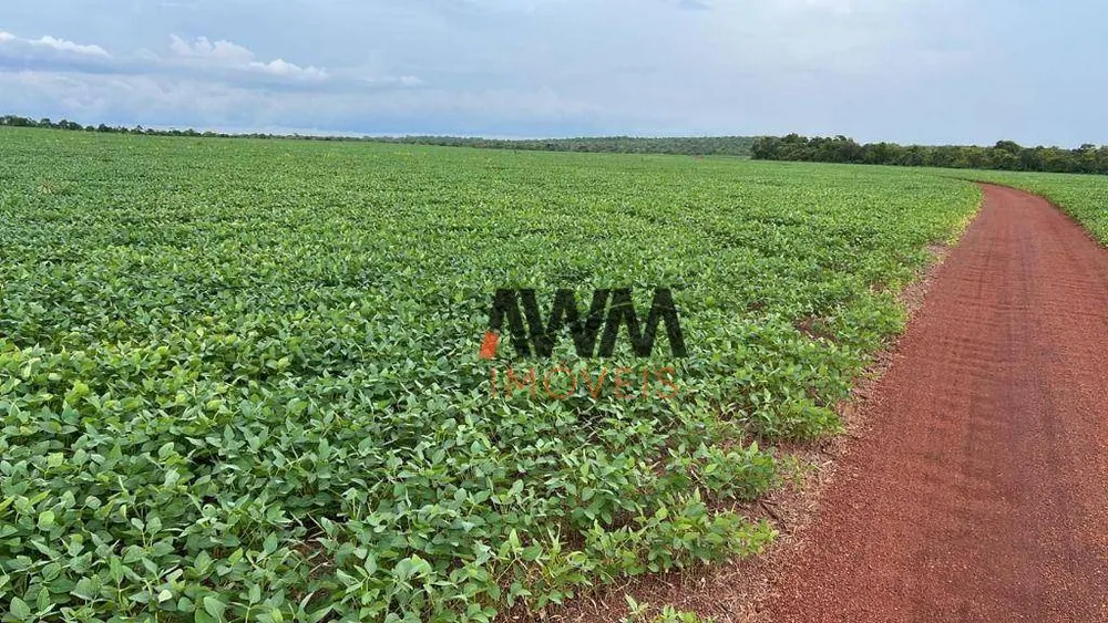 Fazenda, 2483 hectares - Foto 3