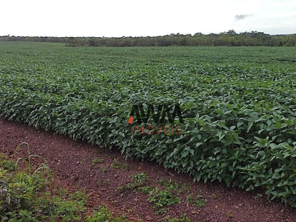 Fazenda, 2483 hectares - Foto 4