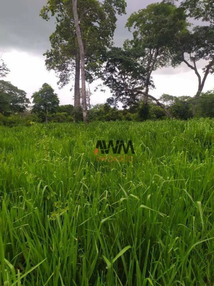 Fazenda, 1690 hectares - Foto 12