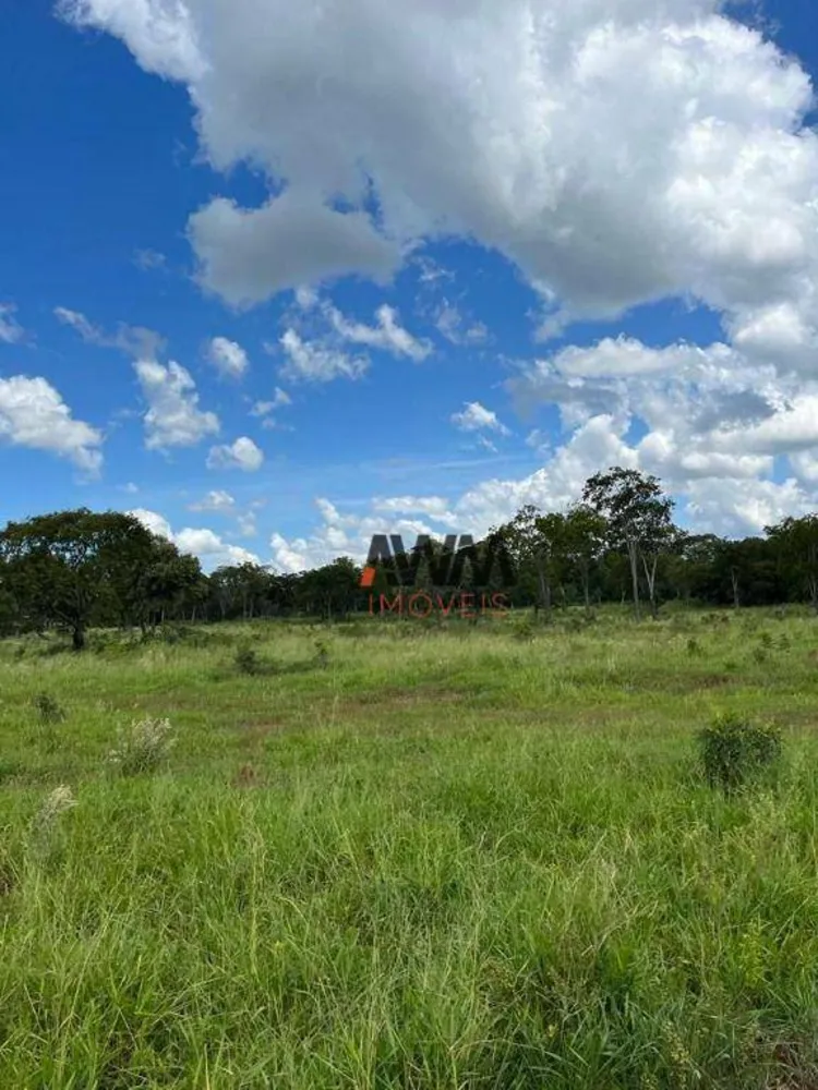 Fazenda, 1690 hectares - Foto 11