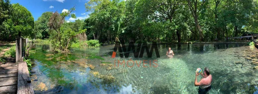 Fazenda, 1690 hectares - Foto 10