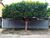 Terreno, 494 m² - Foto 1