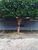 Terreno, 494 m² - Foto 4