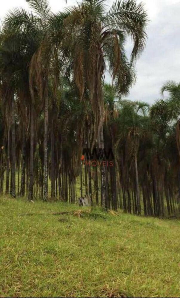 Fazenda à venda, 803924M2 - Foto 3