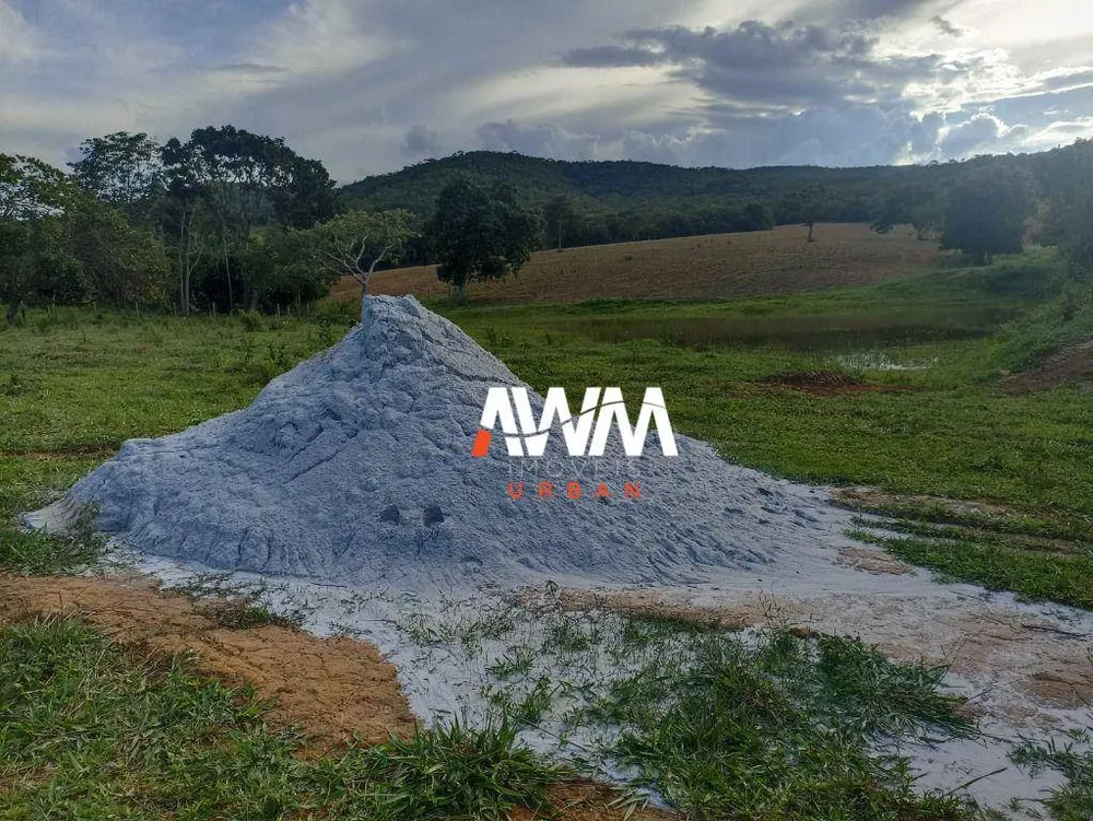Fazenda, 242 hectares - Foto 6