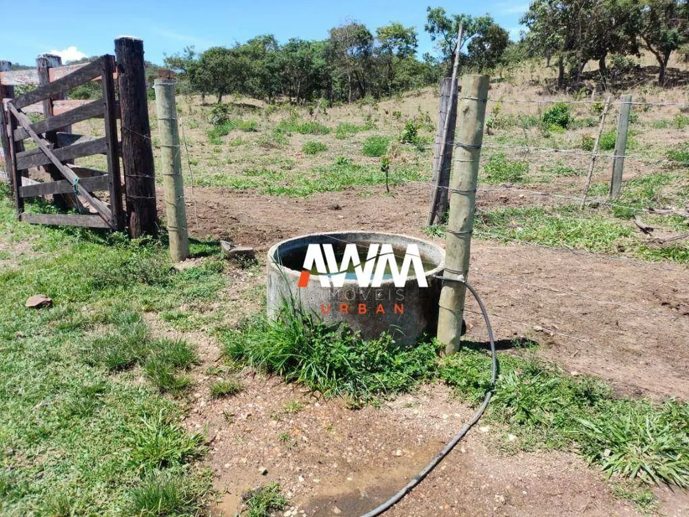 Fazenda, 242 hectares - Foto 11