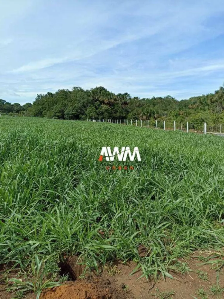 Fazenda, 242 hectares - Foto 4