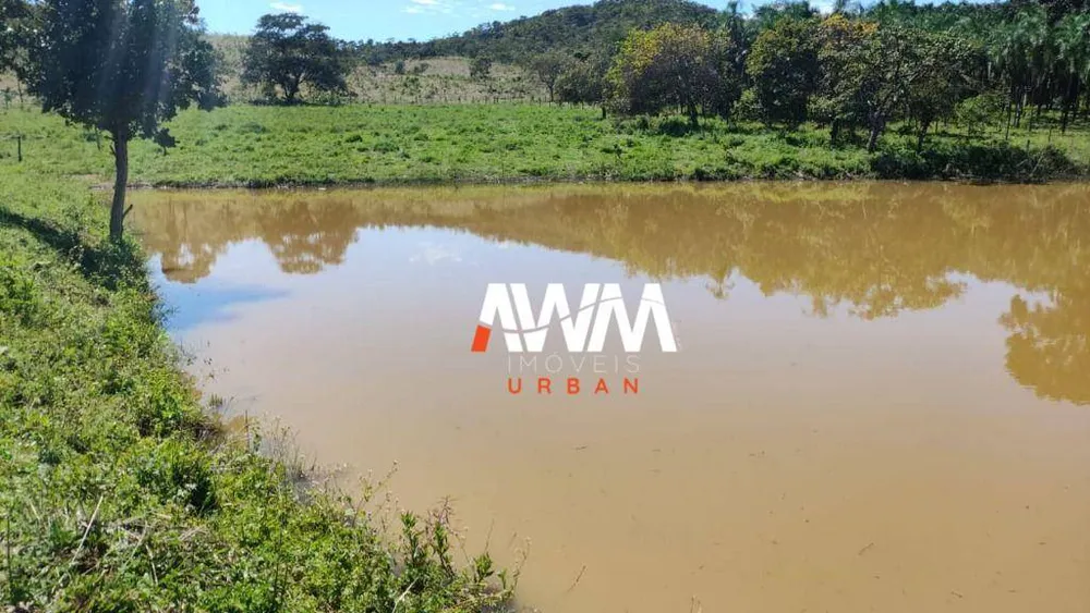 Fazenda, 242 hectares - Foto 3