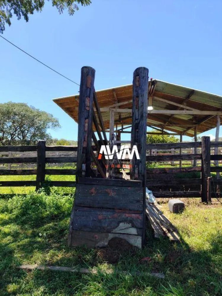 Fazenda, 242 hectares - Foto 10