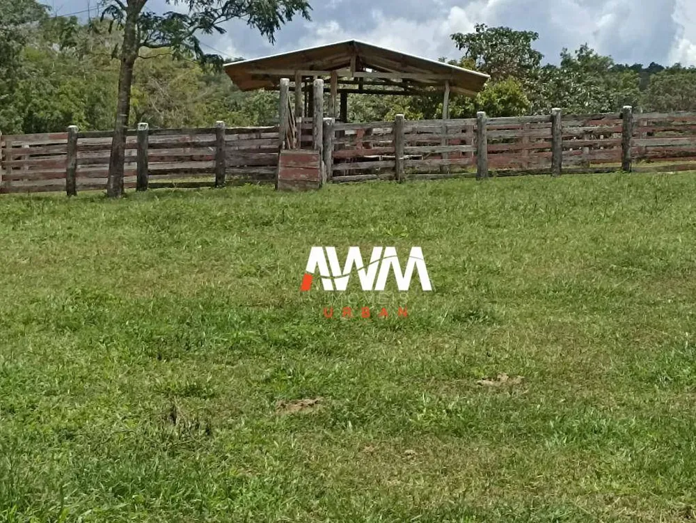Fazenda, 242 hectares - Foto 8