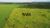 Fazenda, 242 hectares - Foto 1