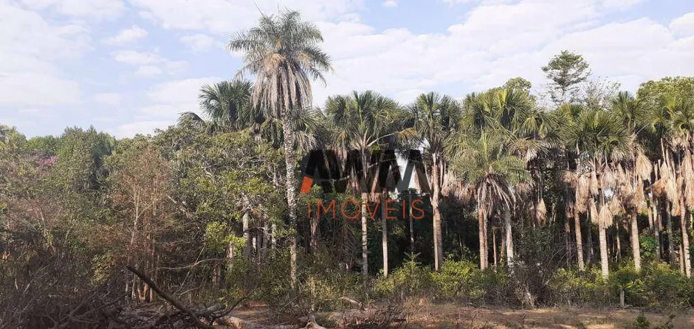 Fazenda, 823 hectares - Foto 6