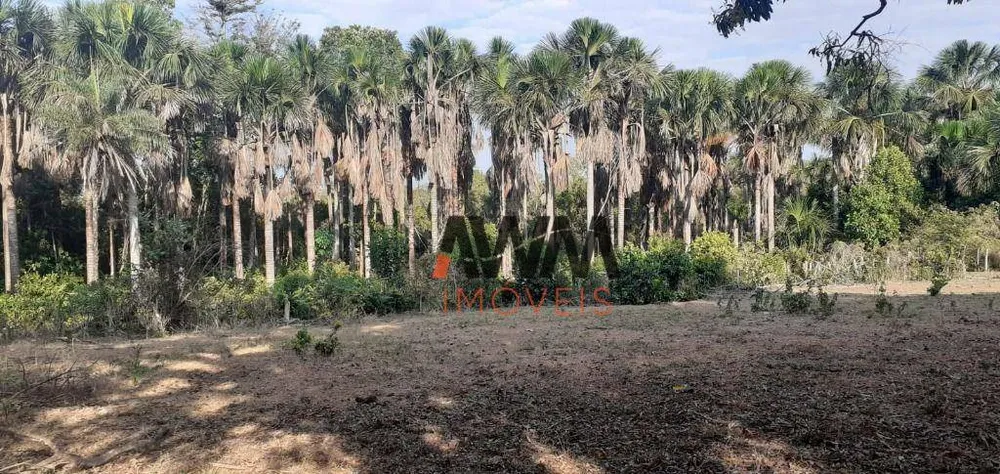 Fazenda, 823 hectares - Foto 7