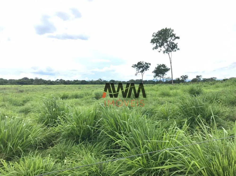 Fazenda, 6437 hectares - Foto 14