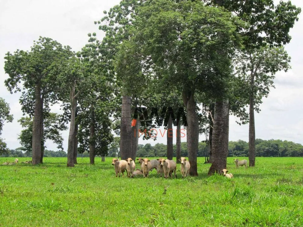 Fazenda, 6437 hectares - Foto 15