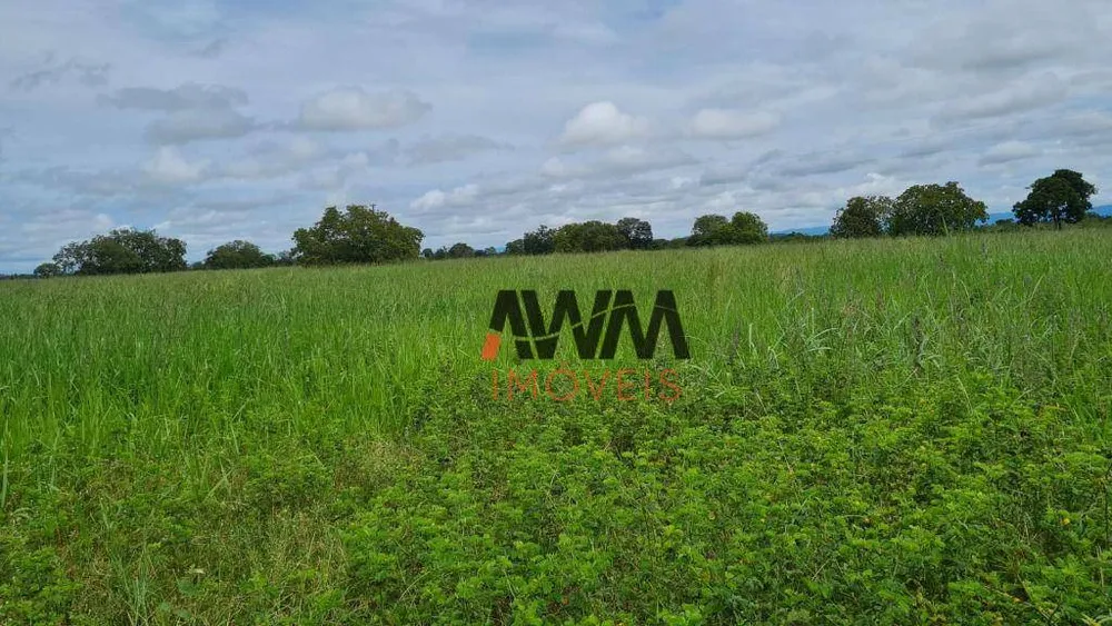 Fazenda, 6437 hectares - Foto 9