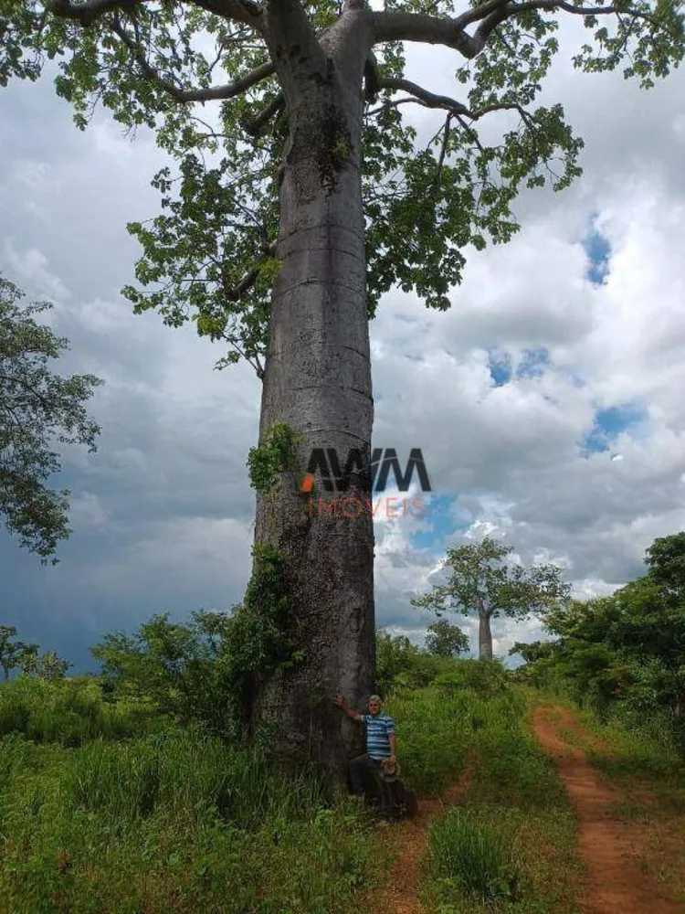 Fazenda, 6437 hectares - Foto 16