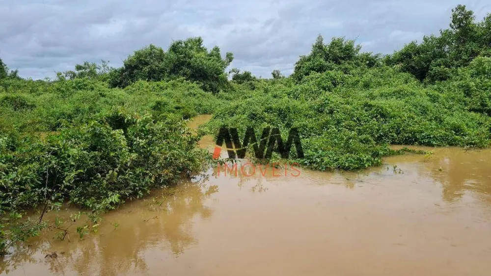 Fazenda, 6437 hectares - Foto 13