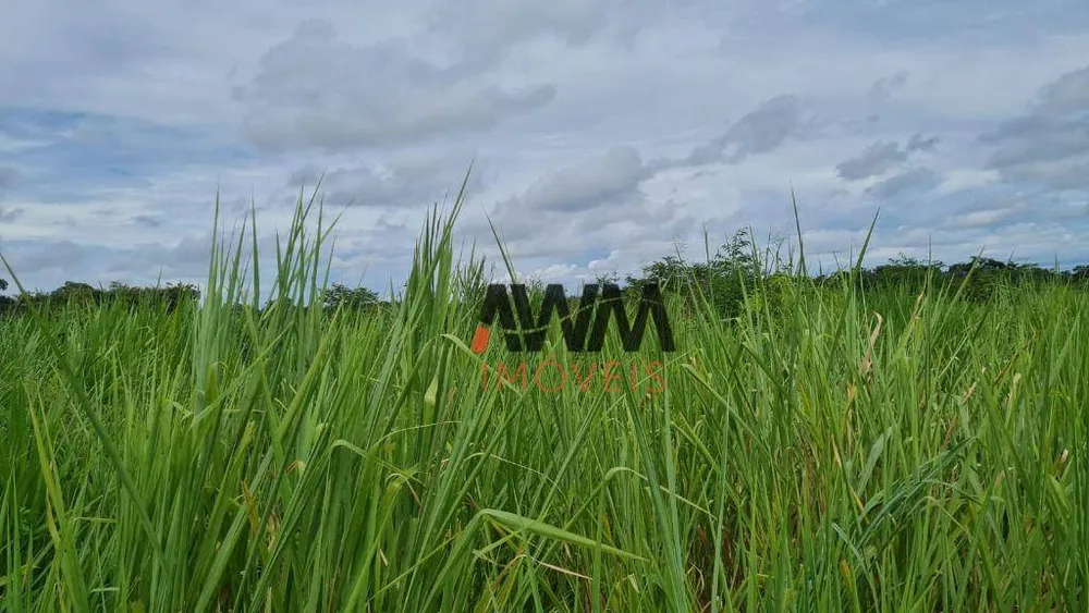 Fazenda, 6437 hectares - Foto 10