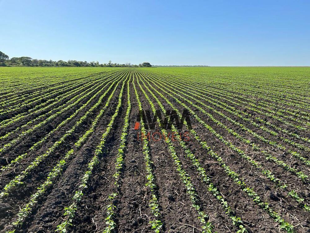 Fazenda à venda, 150000000M2 - Foto 1