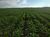 Fazenda-Sítio-Chácara, 15000 hectares - Foto 2