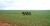Fazenda-Sítio-Chácara, 15000 hectares - Foto 4