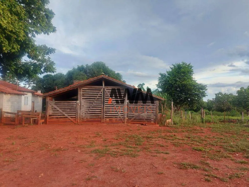 Fazenda, 215 hectares - Foto 10