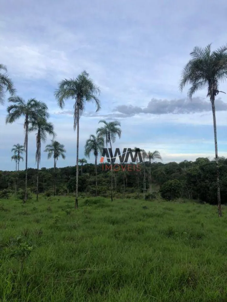 Fazenda, 215 hectares - Foto 9