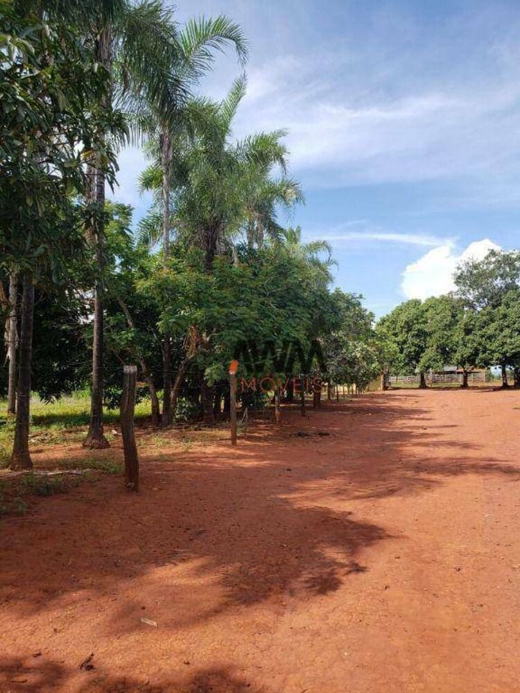 Fazenda, 215 hectares - Foto 2