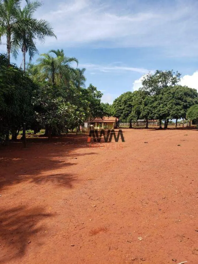 Fazenda, 215 hectares - Foto 12