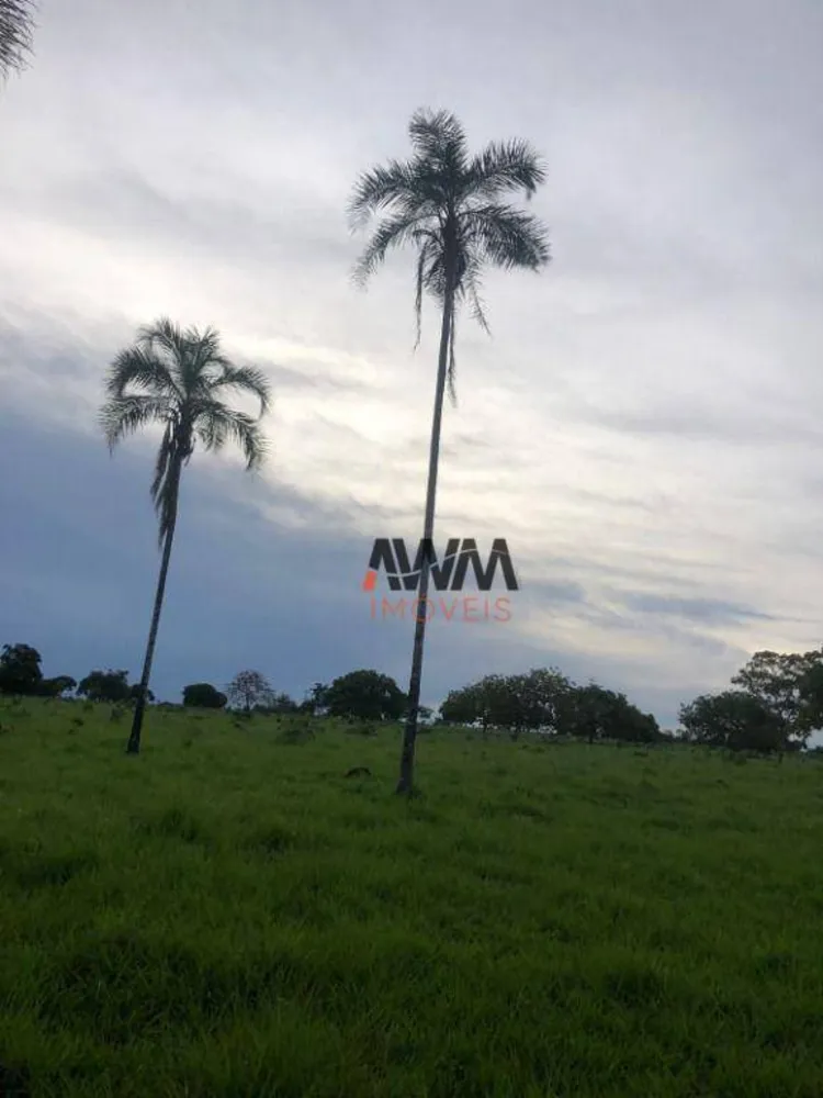 Fazenda, 215 hectares - Foto 15