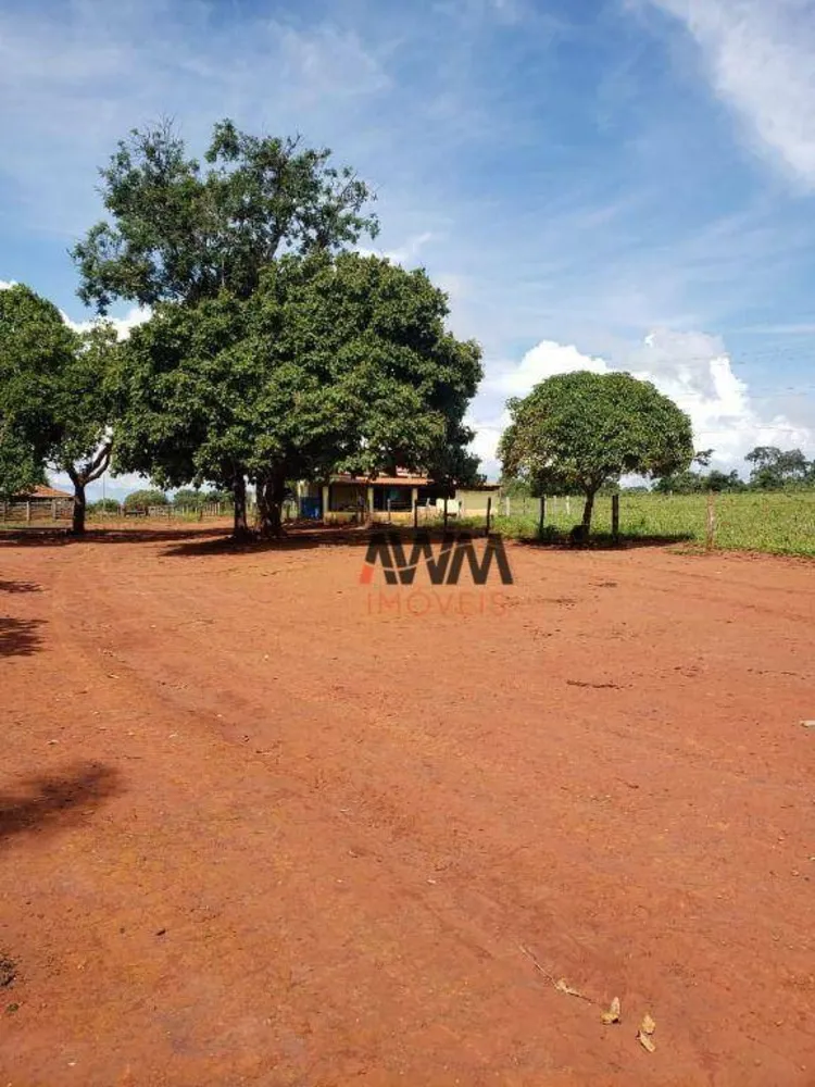 Fazenda, 215 hectares - Foto 6