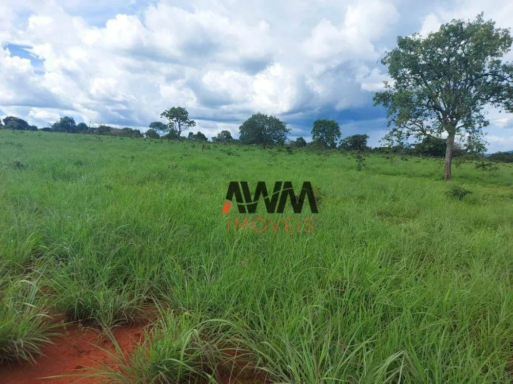 Fazenda, 215 hectares - Foto 11