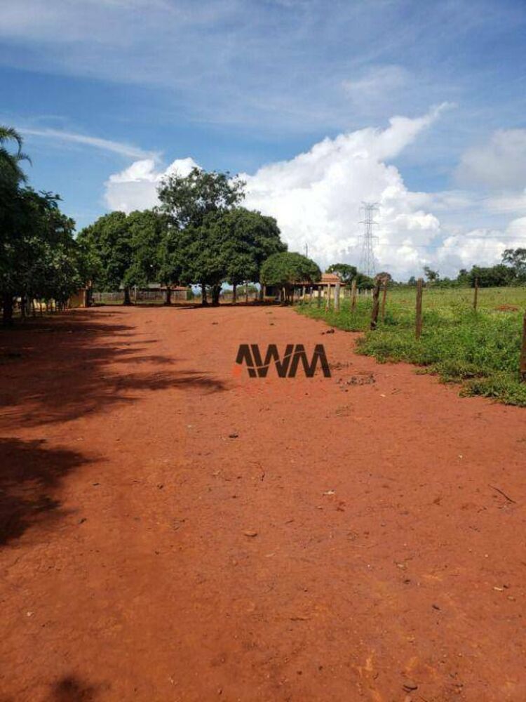 Fazenda, 215 hectares - Foto 3