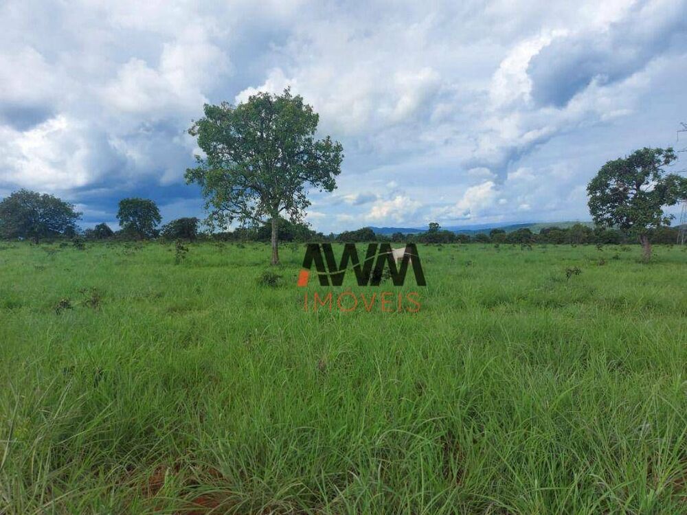 Fazenda, 215 hectares - Foto 1