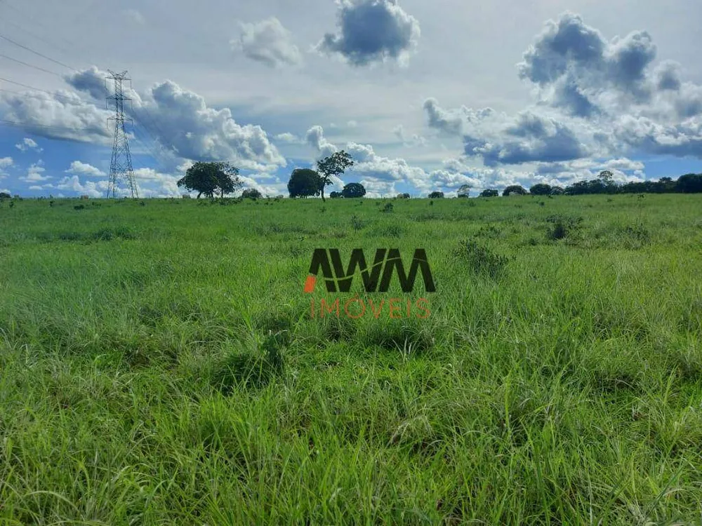 Fazenda, 215 hectares - Foto 7