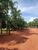 Fazenda, 215 hectares - Foto 2